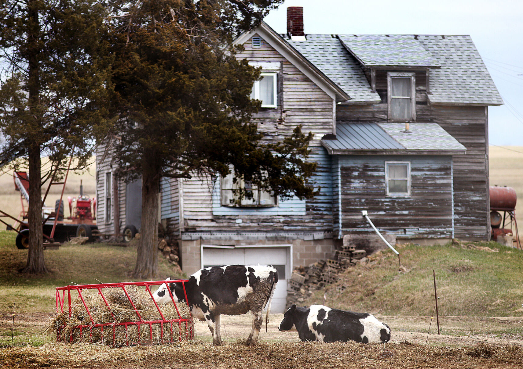 Down on the farm